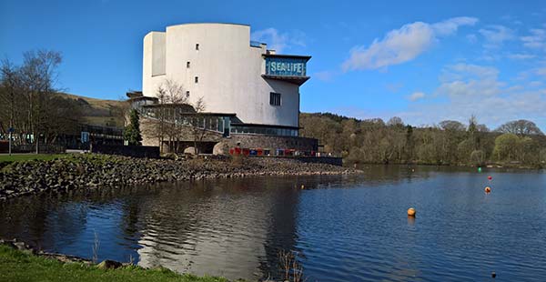 Loch Lomond Sealife Centre in Balloch